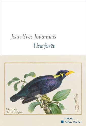 Une forêt